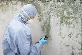 Best Commercial Mold Inspection  in Bayside, WI